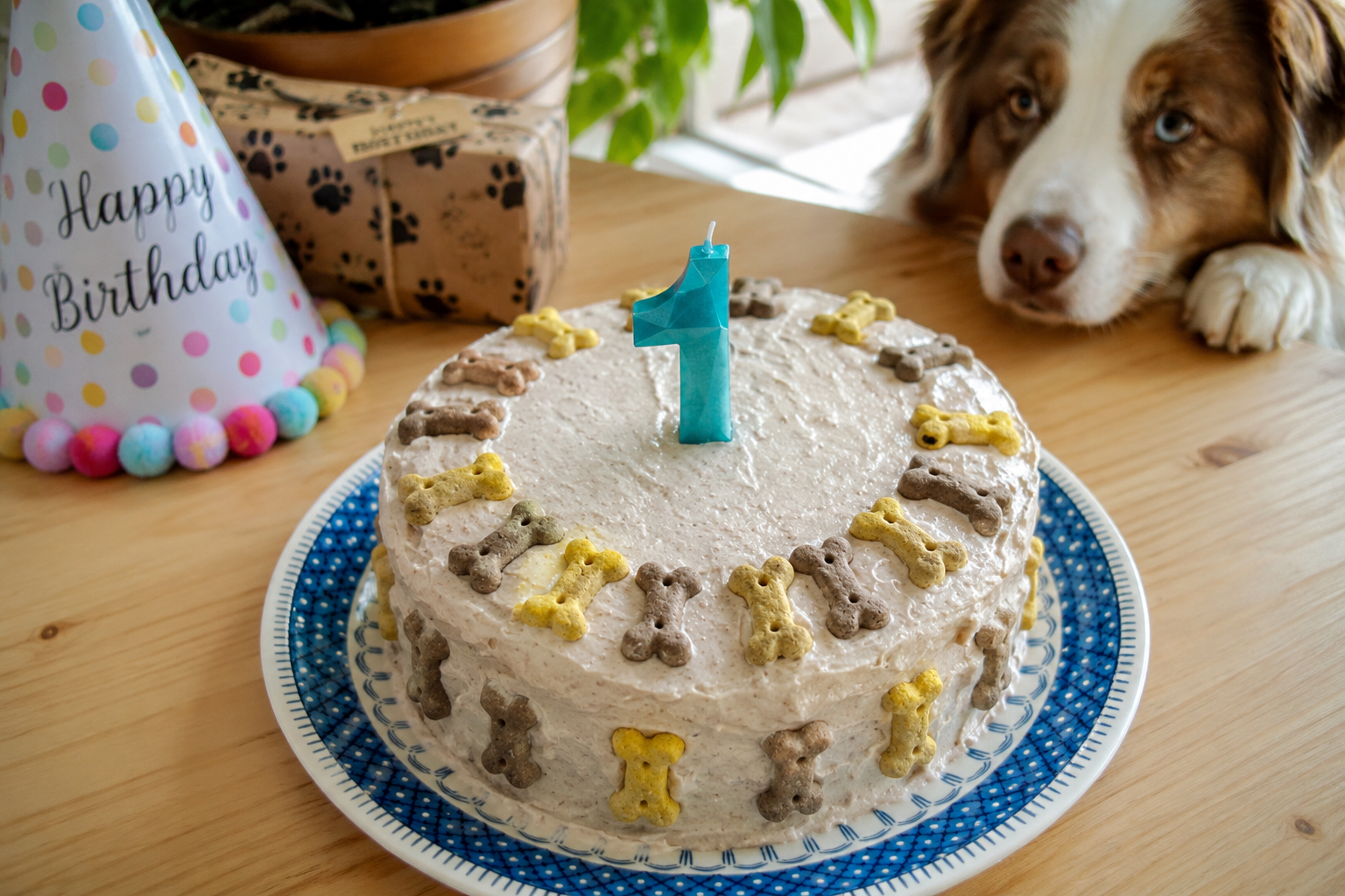Geburtstagstorte für Hunde – herzhaftes Rezept mit Rinderhack, Karotten und Quark